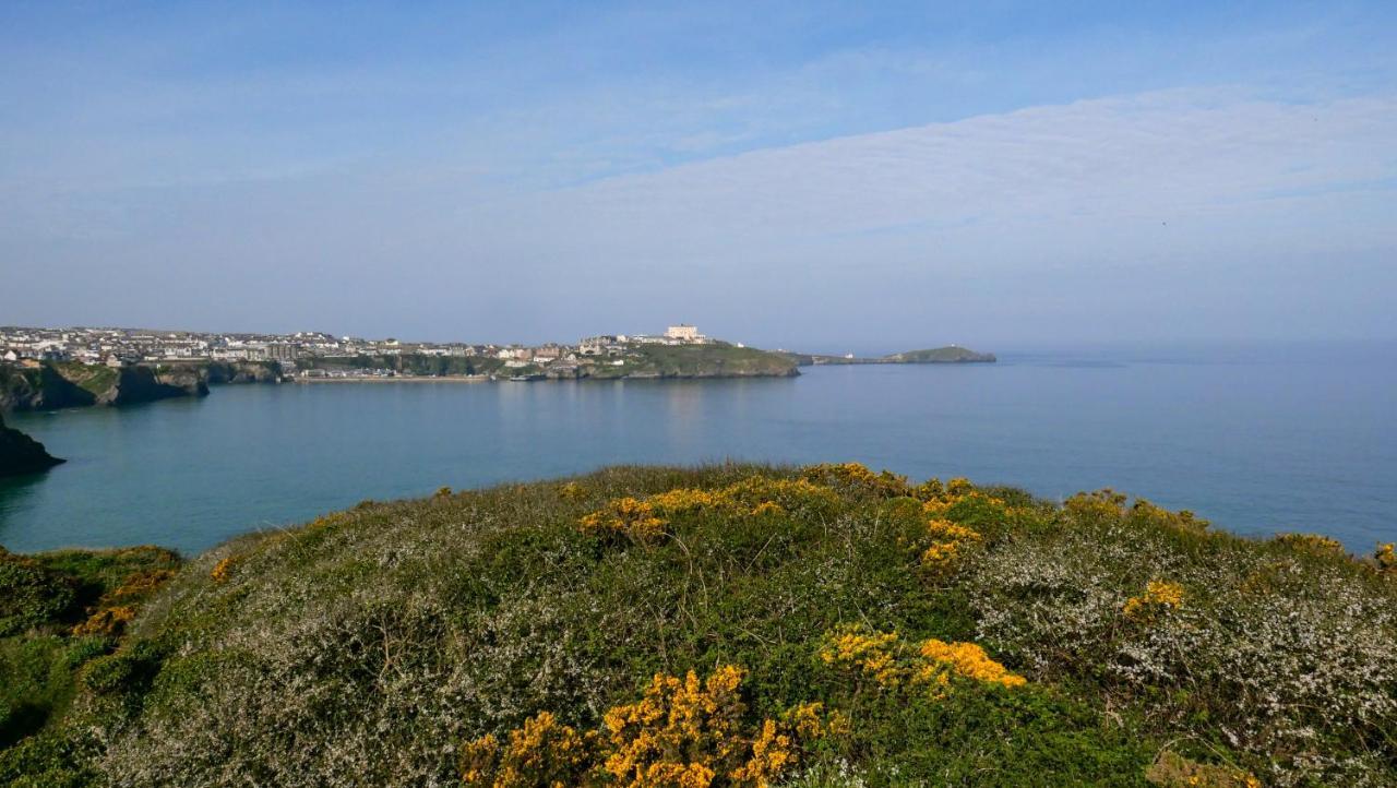 Ollies 4 Cribbar Apartment New Quay Екстериор снимка