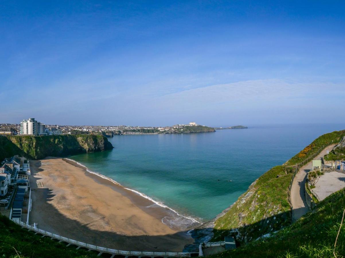 Ollies 4 Cribbar Apartment New Quay Екстериор снимка
